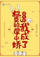 我陪嘉靖修仙那些年