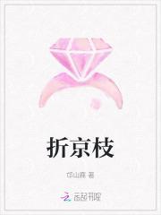 二嫁东宫免费阅读崔文熙
