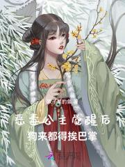 重建大魏全文免费阅读