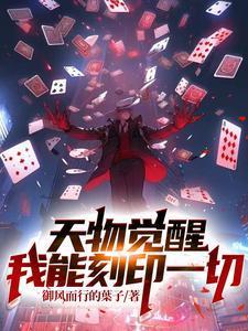 天书进化陈天极