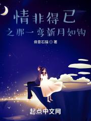 炙野讲的什么内容