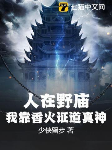 岳飞传评书刘兰芳全集