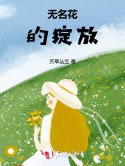 斗罗大陆夜辉