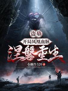 神级狂婿岳风免费最新