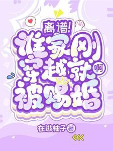 征轮侠影TXT