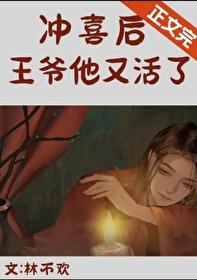 天山飞侠阅读
