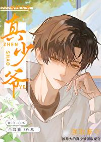 天山飞侠还珠楼主作品