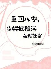 流星 蝴蝶 剑 教父