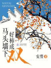 彩虹剑影