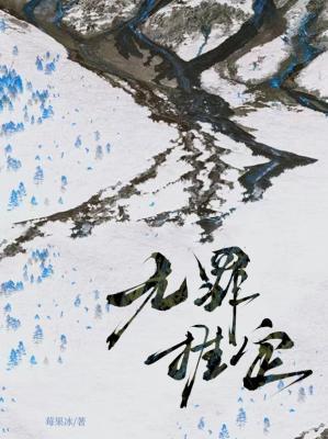 双凤传奇电视剧情介绍