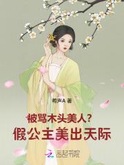 剑圣风清扬第三部