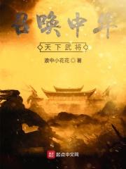飞龙全传是武侠吗