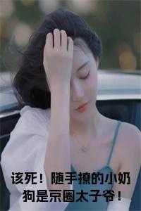 第一女婿全文阅读