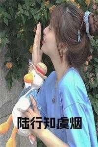 七零文工团小厨娘顾