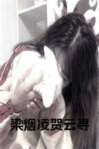 让朕当个昏君吧TXT奇书