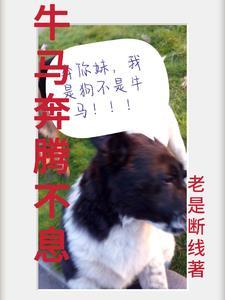 江湖有情刘德华周润发