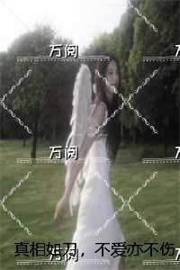 真相如刀，不爱亦不伤：全文+番外+后续