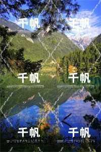 横行修真界全本