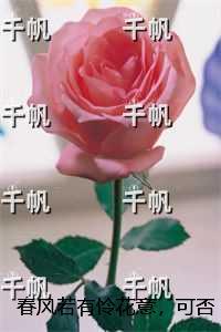 如日方升。秦有锐士