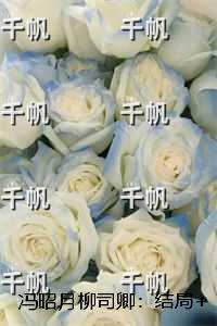 惑乱江湖萧天赐免费阅读