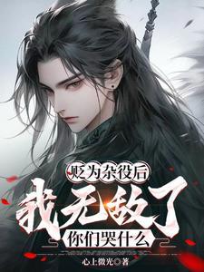二号首长有声在线收听