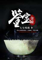 大唐质子十年