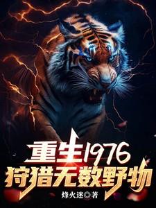 海贼我加载了游戏面板 黄金身材