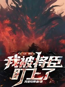 海贼我加载了游戏面板(全本)