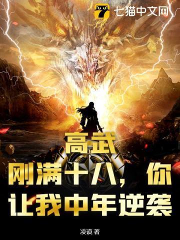 女总裁贴身兵王免费的