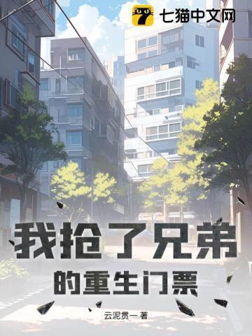 树皇滤清器怎么样