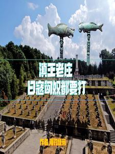 匠心雷霆台球杆官网