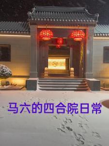 我在末世开商店纸风焱