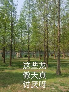 老攻的七个人格都爱我结局