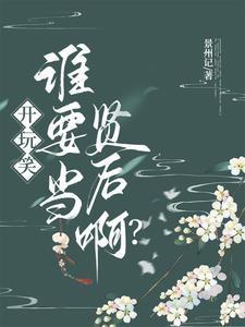极品婆婆手册晋江
