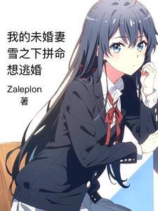 入赘后小夫郎破产了