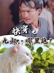 从港综开始吞噬网