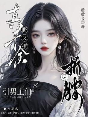 次元大追逃百科