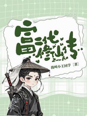 局长日记 小盘