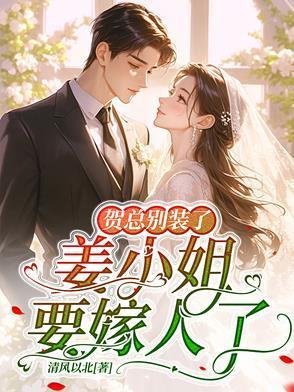 四合院开局贾家赔了夫人又折兵王