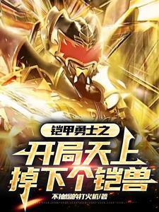 我成了二周目Boss