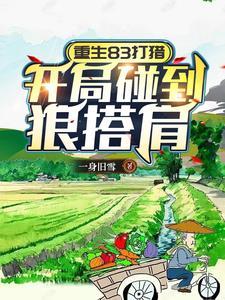 逆运乞丐电视剧免费观看