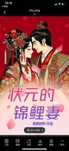 求合作(探案)好看吗