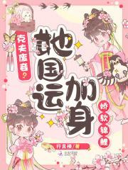 天才女友第四季