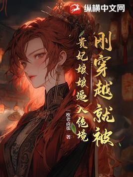 倾城商王妃