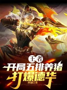 涅槃决意怎么用