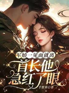 他是一个透明人晋江