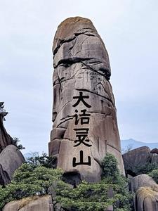 卜王之王简介