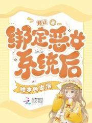 凤山县采访册封面