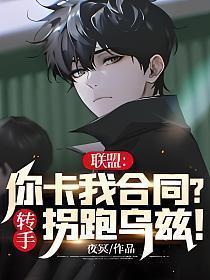 宠妃风华录攻略