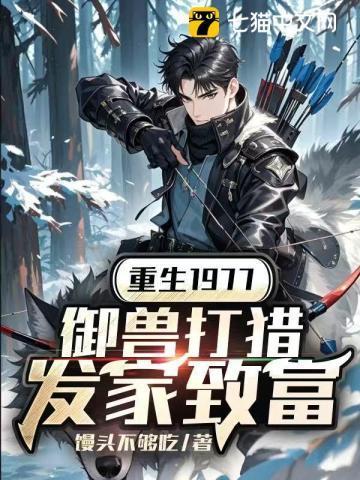 无上医圣萧叶视频全集